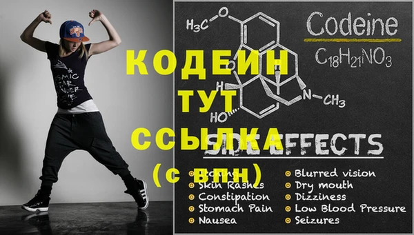 эйфоретик Бородино
