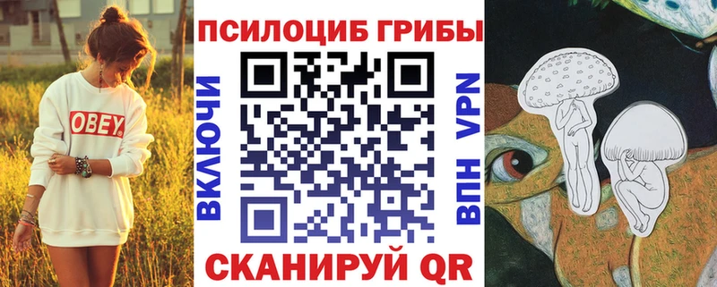 закладка  Канск  площадка телеграм  Псилоцибиновые грибы Cubensis 